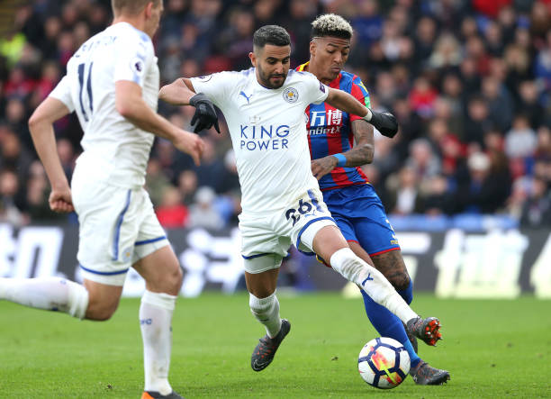 他们的组合 他们的组合